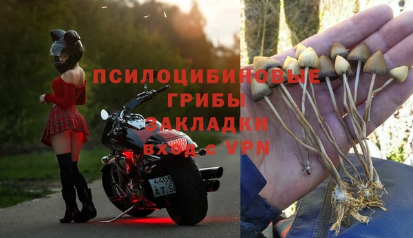 соль курить ск Кукмор