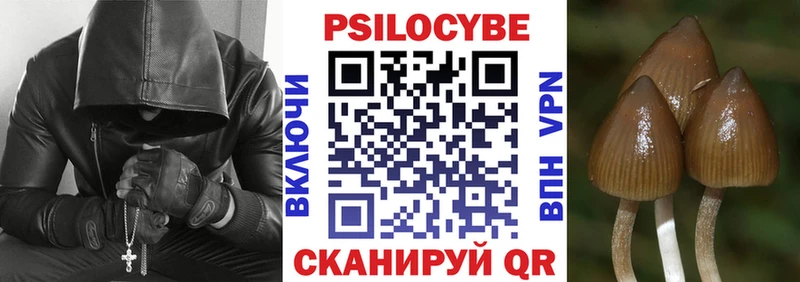 Галлюциногенные грибы Cubensis Новосокольники