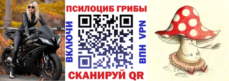 Псилоцибиновые грибы MAGIC MUSHROOMS  Новосокольники 