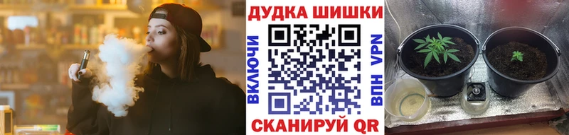 МАРИХУАНА Ganja  купить  цена  Новосокольники 